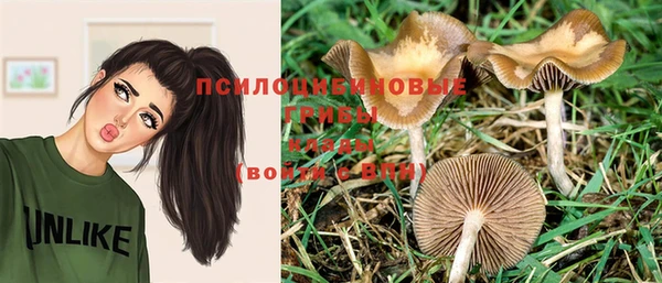 прущая мука Беломорск