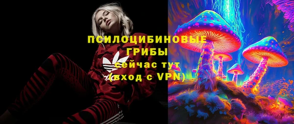 MDMA Premium VHQ Белокуриха