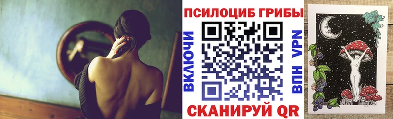 Галлюциногенные грибы Magic Shrooms  Купить где  Балтийск 