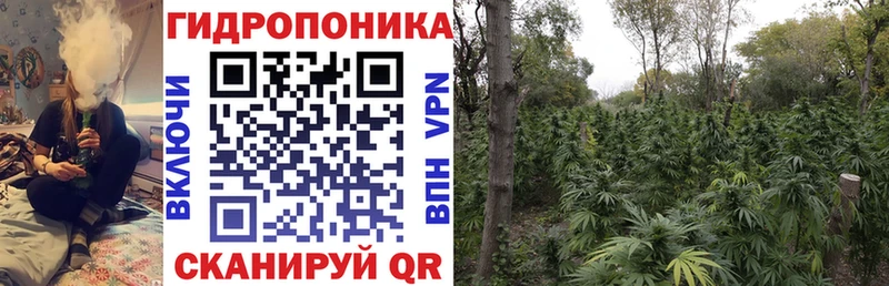 Купить закладки  Балтийск  Бошки Шишки план 